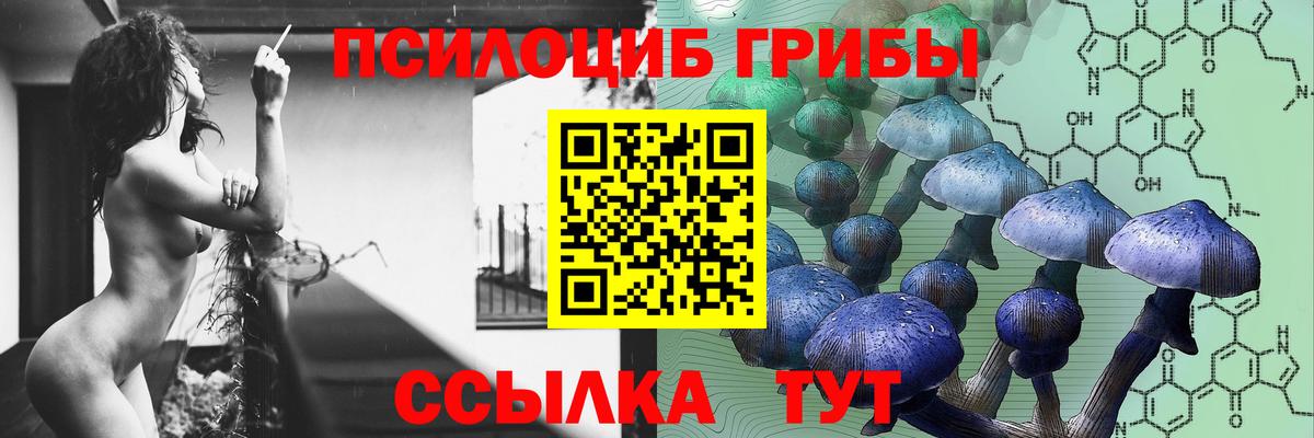 Псилоцибиновые грибы мицелий  Галлюциногенные грибы Cubensis  купить закладку  Конаково  Вход с VPN 
