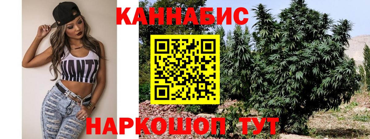 Конопля Bruce Banner Конаково